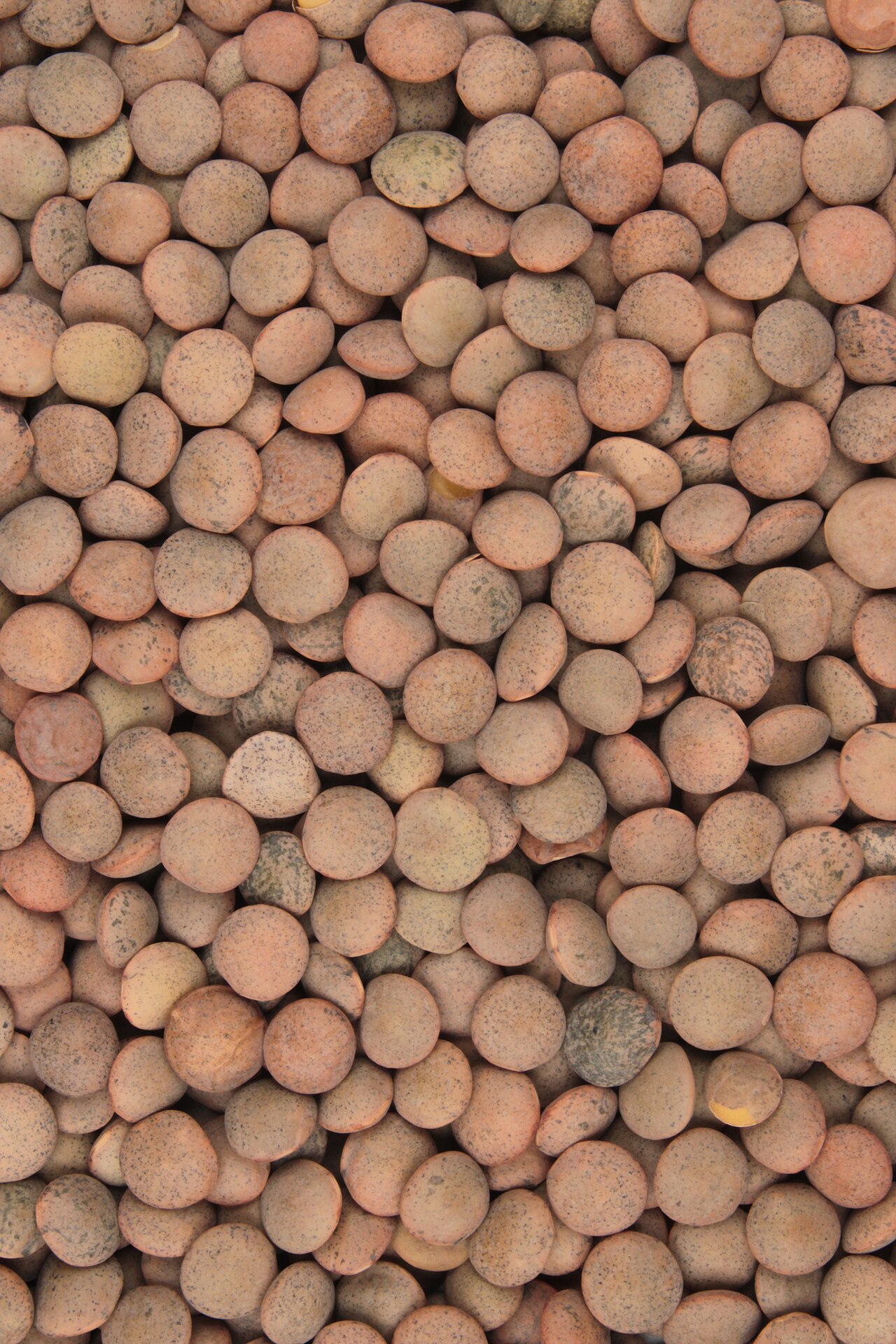 Pulses