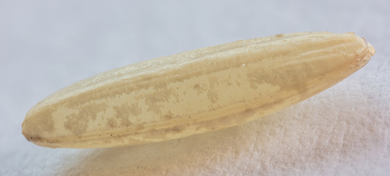 Basmati Rice
